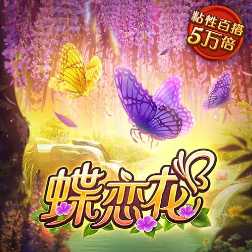 金年会娱乐网址